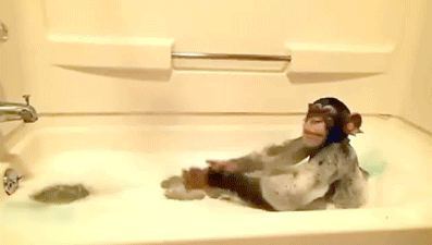 Bubbles the chimp
