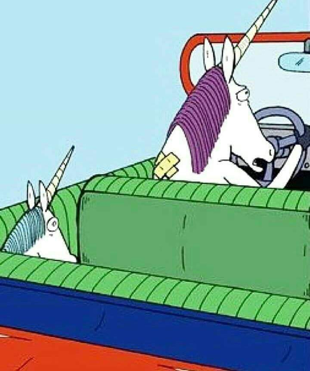Buckle Up It Could Save You From