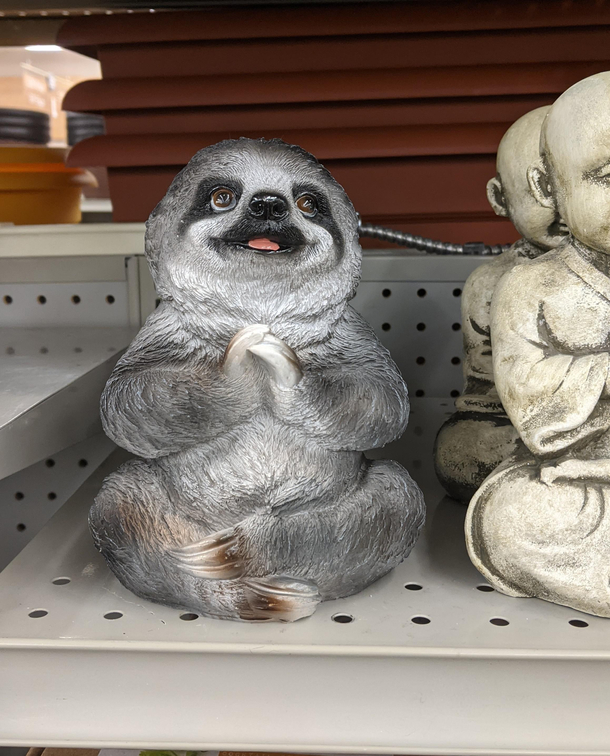 Buddha Sloth is very wise