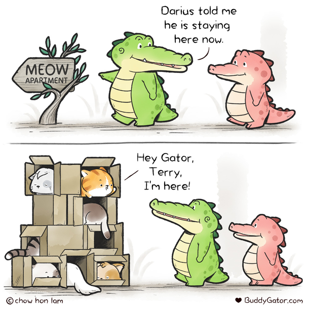 Buddy Gator - Apartment