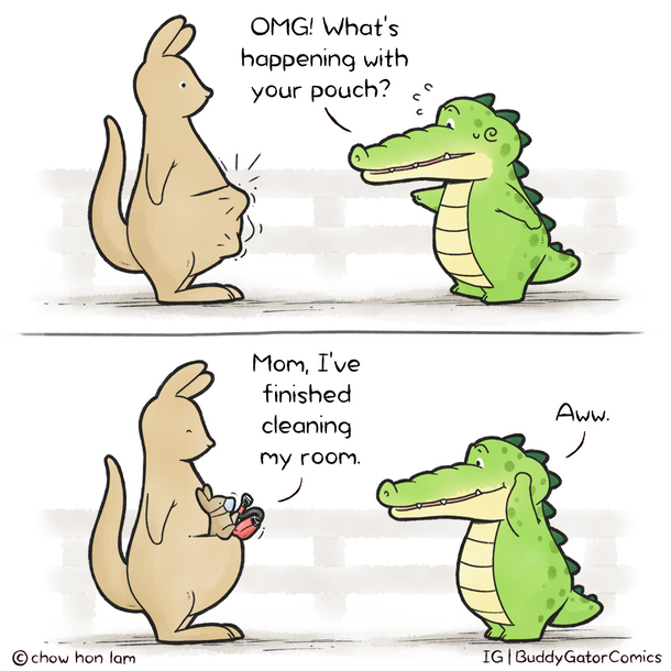 Buddy Gator - Cleaning Day