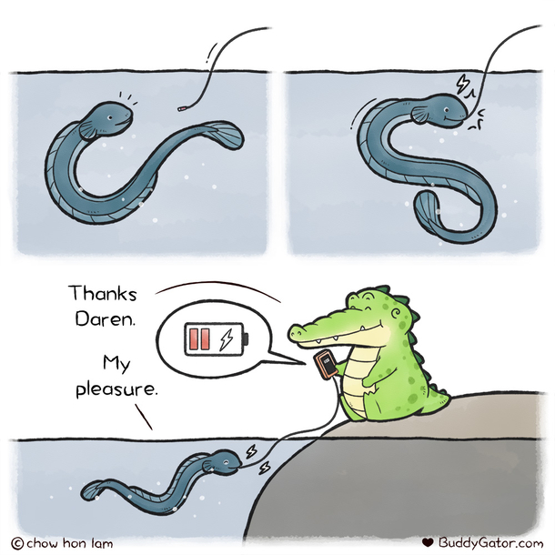 Buddy Gator - Daren The Eel