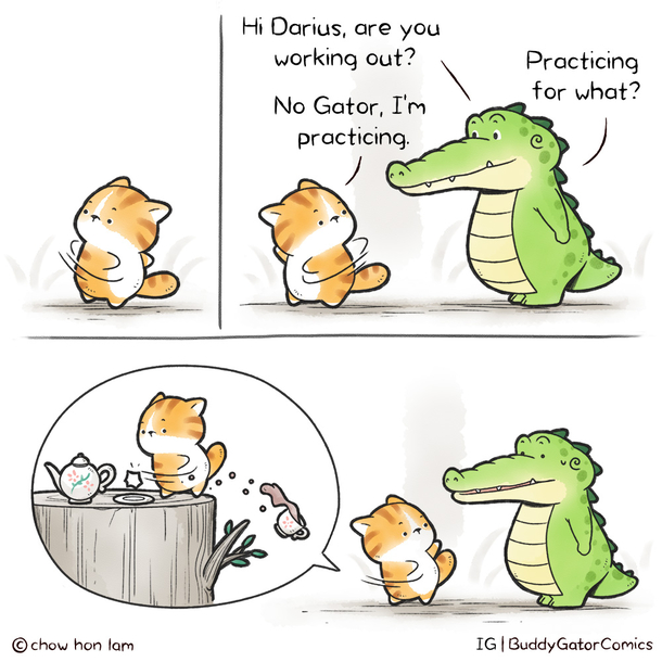 Buddy Gator - Practice Makes Perfect
