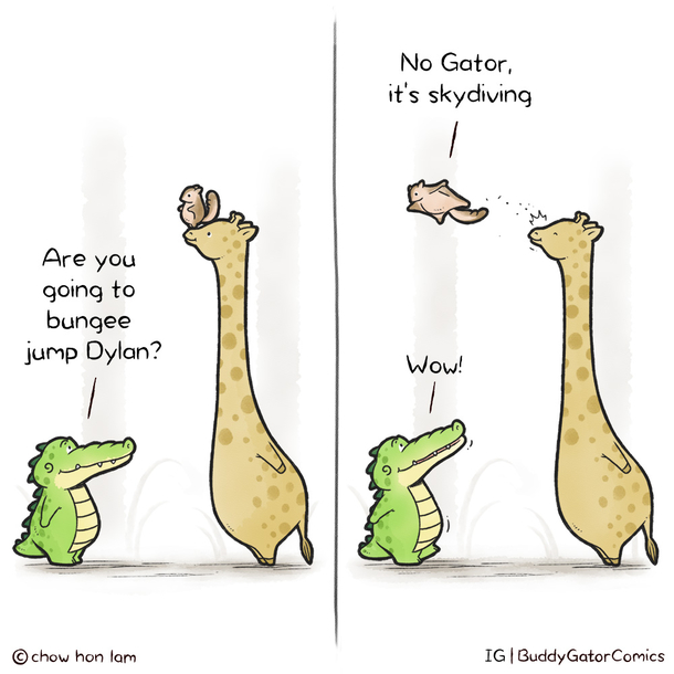 Buddy Gator - Skydiving
