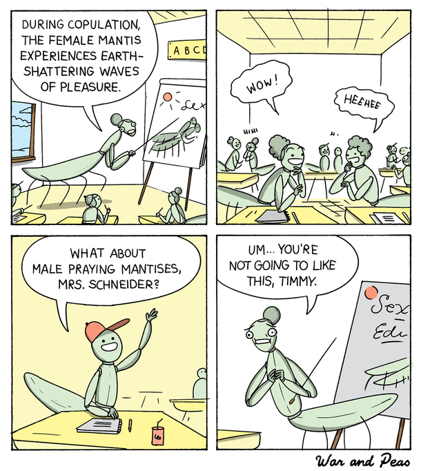 Bug School