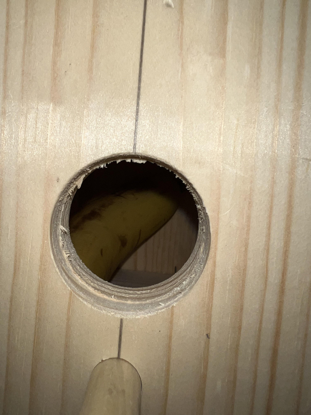 Built a birdhouse with my  year Accidentally sealed a banana in