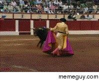 Bull Fail