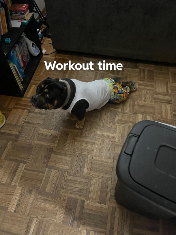 Bully workout