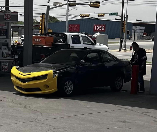 Bumblebee in the Front