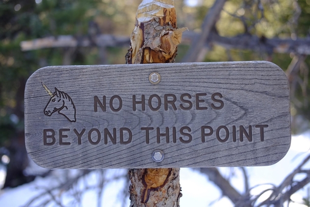 Bunch of racist unicorns up in Rocky Mountain National Park