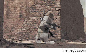 Bunnies on a mission