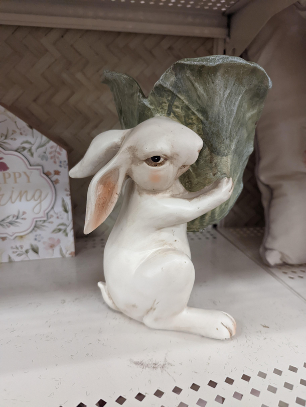 Bunny looks like hes gonna beat your ass if you try to take his lettuce leaf