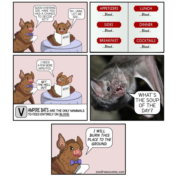 BURN IT DOWN - VAMPIRE BATS OC