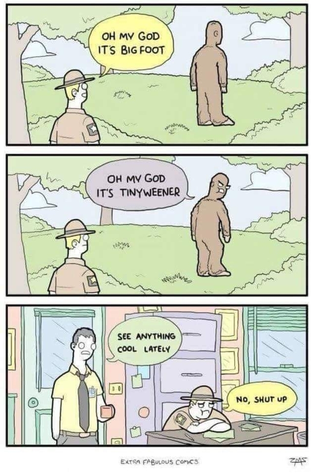 Burn level Forest Fire
