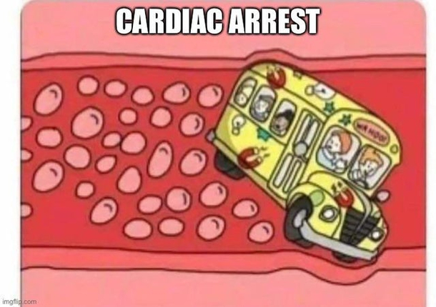 bus diac arest hahaha