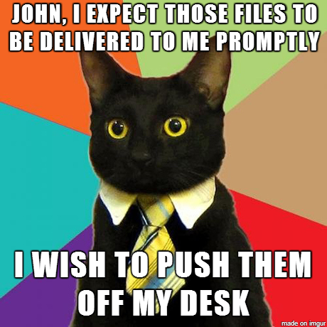 Business Cat