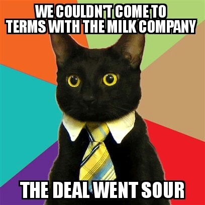 Business cat is trying to make a new deal