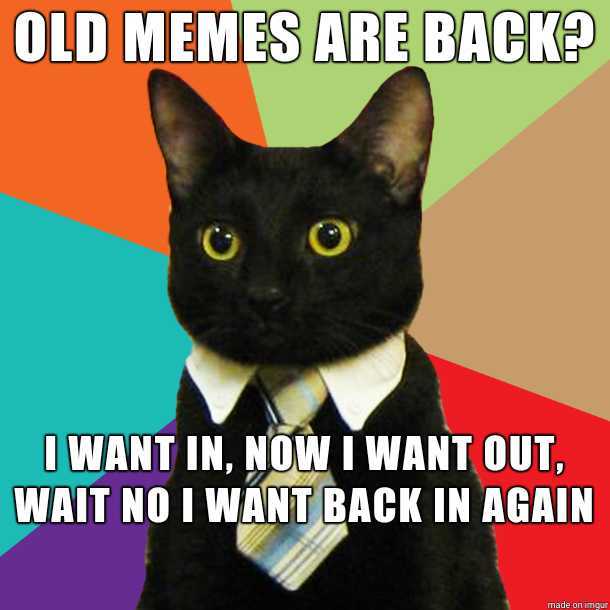 Business cat likes this old meme resurgence