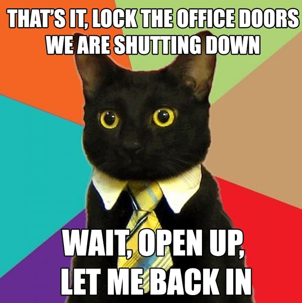Business cat to the rescue - Meme Guy