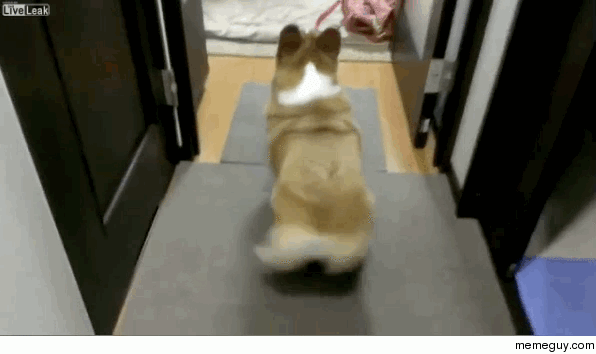 Busted twerking