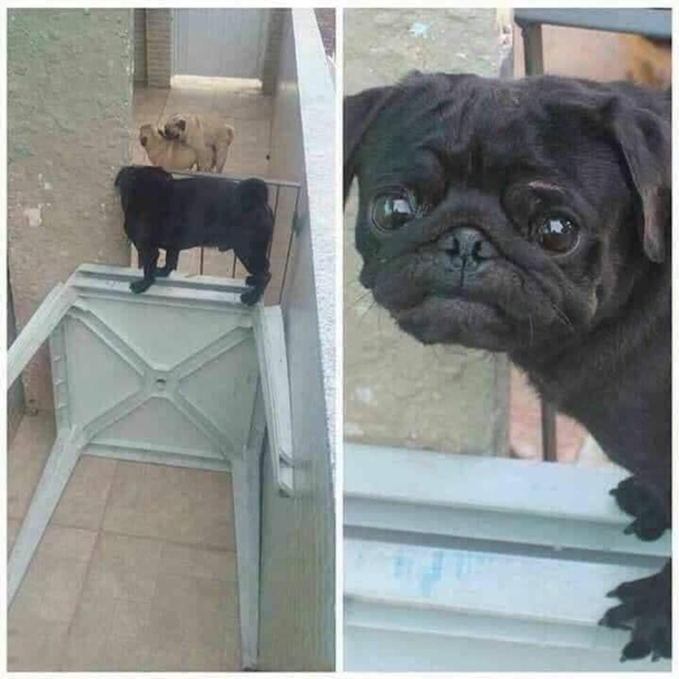 Buster will never forget that day