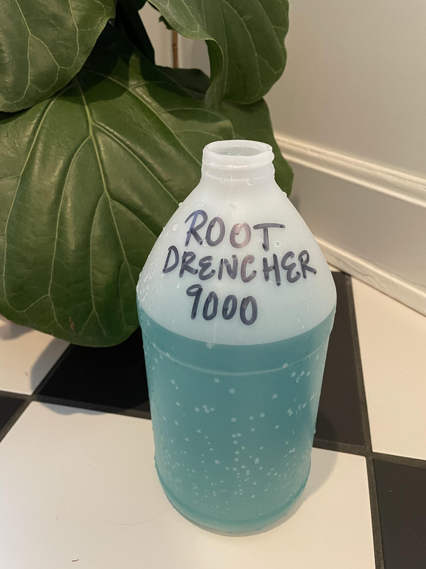 But how are we gonna remember which bottle is for plant food asked my wife forgetting whom she married 