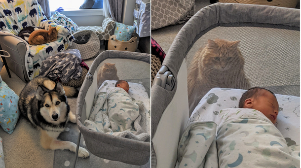 But Im the baby