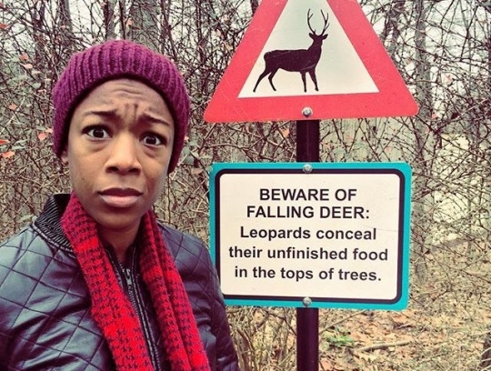 But no warnings about leopards