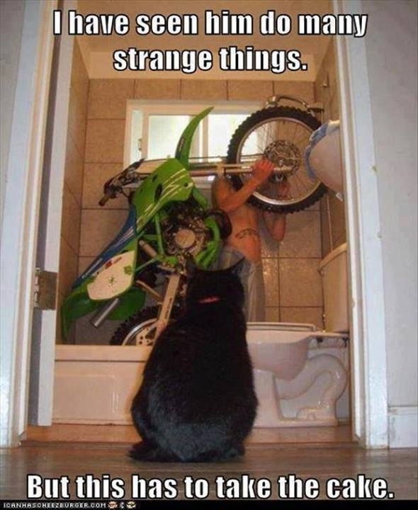 But this is strange