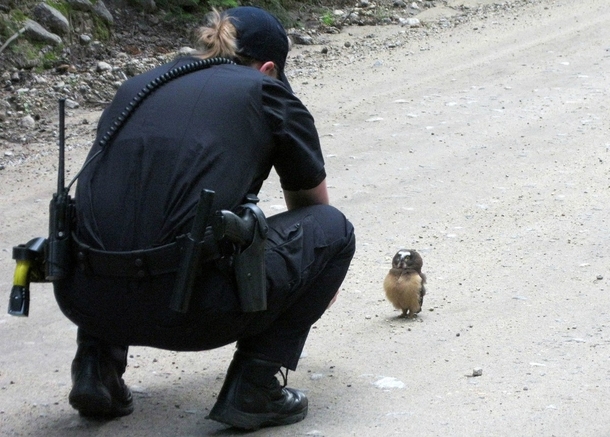 But why am I being arrested