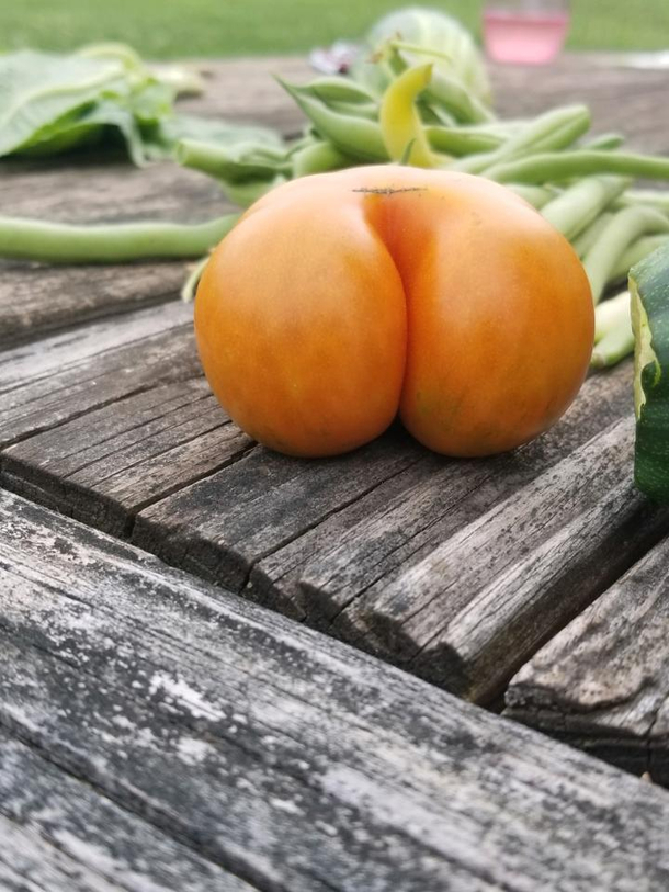Butt Im a Tomato