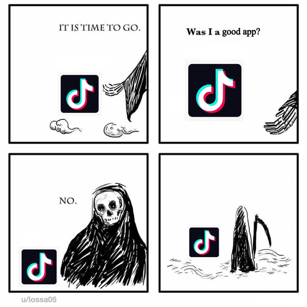 Bye bye tik tok