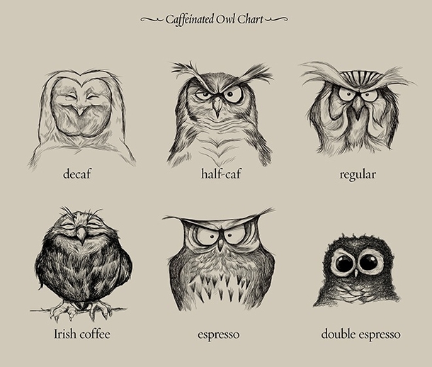 Caffeinated owl chart