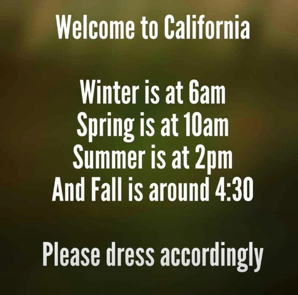 California Weather Meme Captions Trend