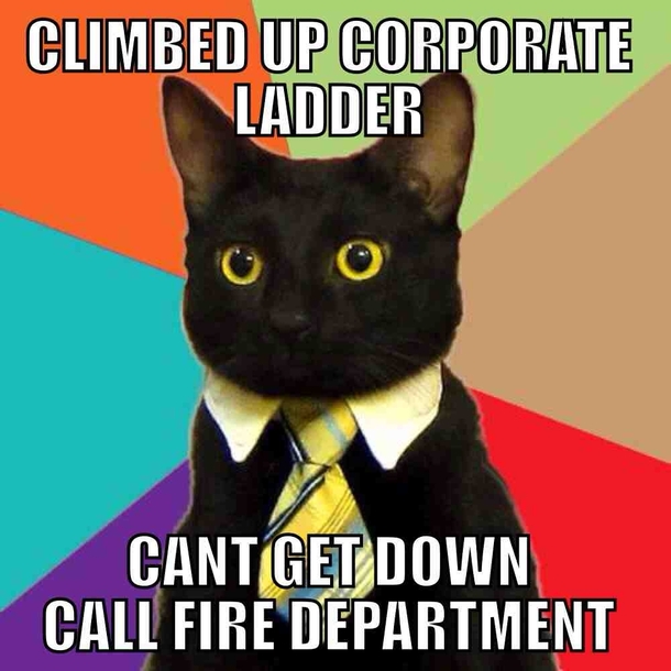 call right meow