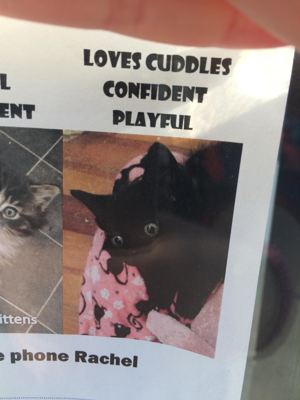 Calm Loves cuddles Can see through time and space