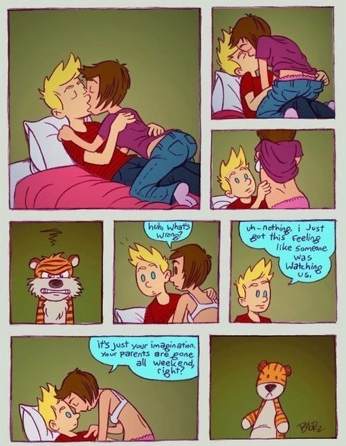 Calvin amp Hobbes