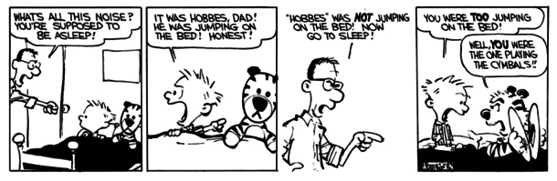 Calvin and Hobbes November  