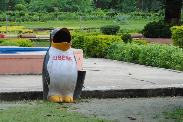 Came across a penguin with low self-esteem in India