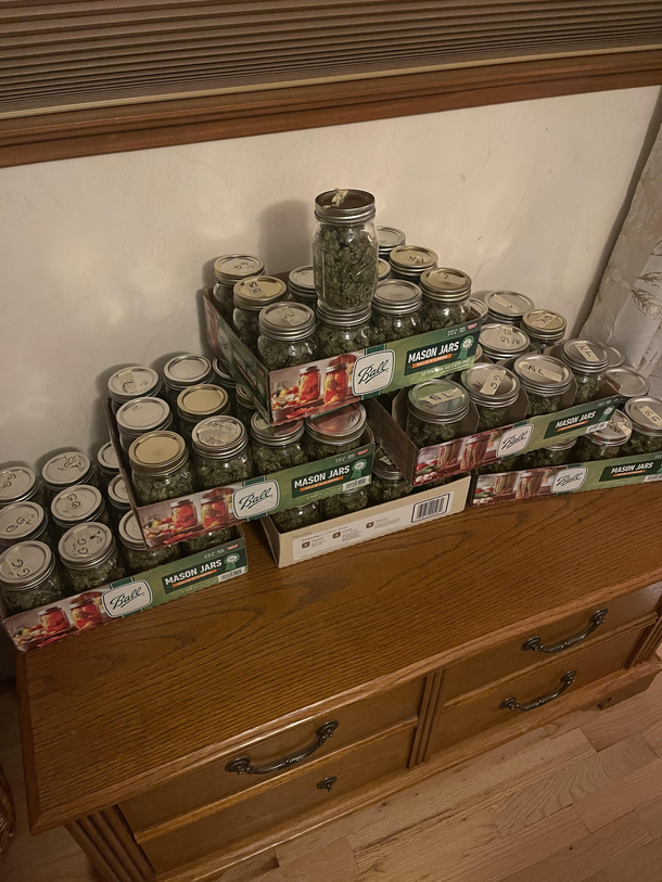 Came home for Thanksgiving and found out my yo mother has started growing bottling and selling weed to her senior citizen neighbors