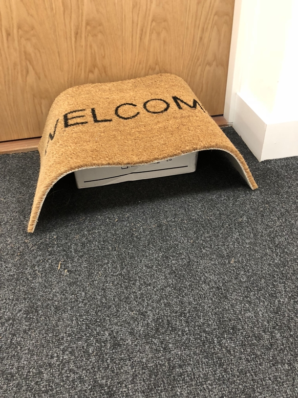Came home to find my delivery was well hidden