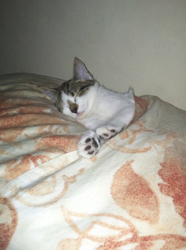 Came home to this after a late night