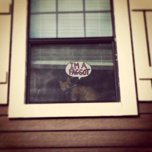 Came home to this in my window