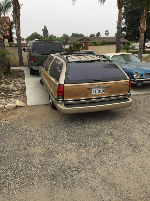 Came upon this gem while walking my dogs this morning