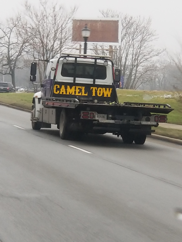 Camel Tow