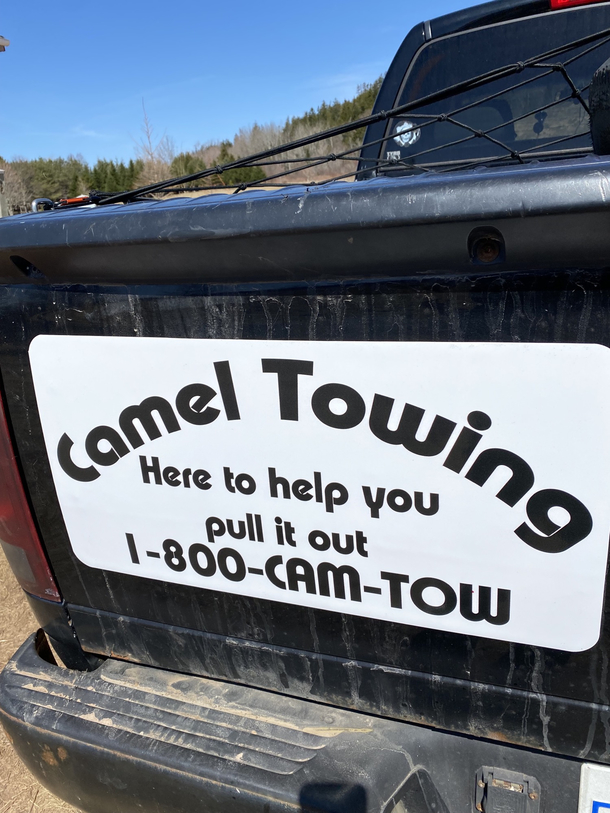 Camel tow-ing