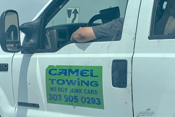 Camel  Towing
