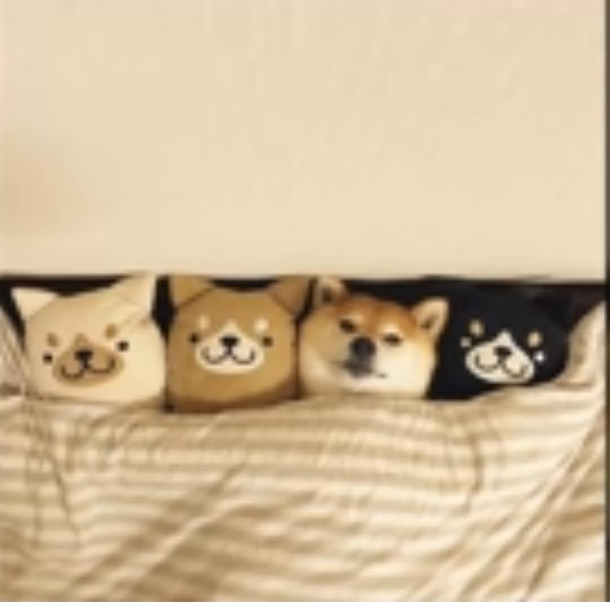 Camouflage 