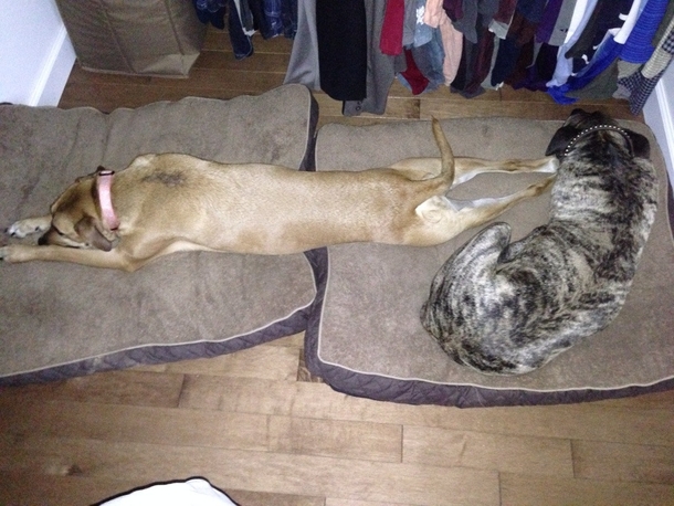 Can anyone guess which one is the female