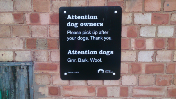 Can dogs read
